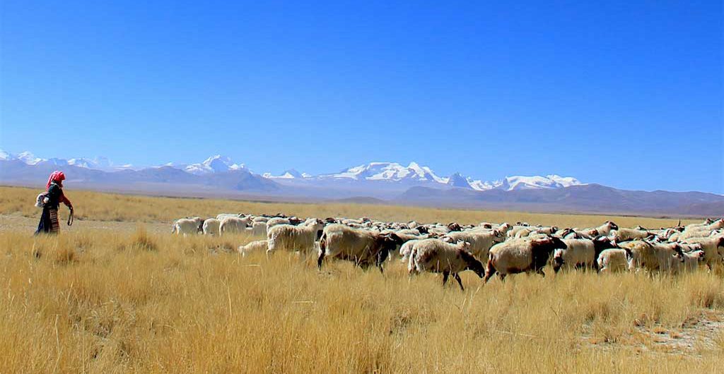 authentic Tibet tour